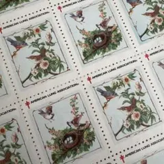 Item thumbnail for item 9deb1222-e748-43e3-8f95-92e4e1caf159