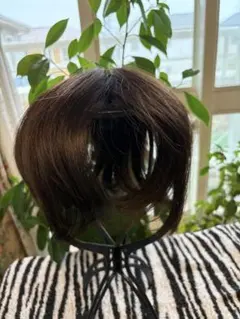 残りわずか 人毛100% 30cm ナチュラルブラウンヘアピース - メルカリ