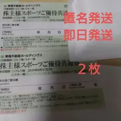 スキー場 リフト券 割引券2枚　ハンターマウンテン塩原 ニセコ東急グランヒラフA
