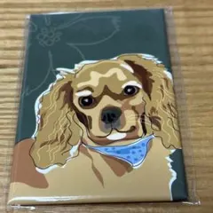 キャバリアルビー マグネットのサムネイル