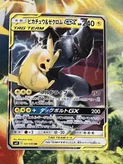 ポケカ ピカチュウ&ゼクロムGX タッグチーム