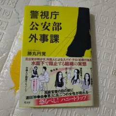 Item thumbnail for item 43d5ef31-46a4-4fa3-956e-7536f4cb5d3f