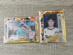 ハイキュー 影山飛雄 日向翔陽 ステータスカードコレクション シークレット 烏野