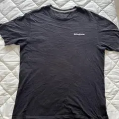 Patagonia オーガニックコットン Tシャツのサムネイル