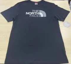 THE NORTH FACE ザ ノースフェイス ロゴ プリントTシャツ メンズ