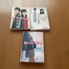 たしかに恋だった 他ライトノベル3冊セット