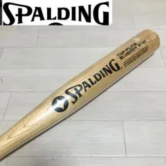 Item thumbnail for item 588cbb81-397f-4207-8cf1-fe1b80bd9393