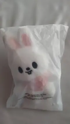 2026年最新】STRAYkids リノ ぬいぐるみの人気アイテム - メルカリ