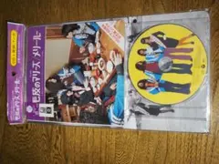 毛皮のマリーズ「メリー・ルー」CD 未開封 Amazon.co.jp: Mary Lou: ミュージック