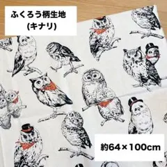 Item thumbnail for item 5b457c25-6dfa-4cbb-8593-400f7946e217