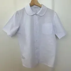 Item thumbnail for item 3a29d33b-1395-4d7c-8f38-d1ec2676df34