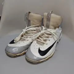 Item thumbnail for item 1dd1ff9f-03f2-45ae-9a38-f8aeb239f191