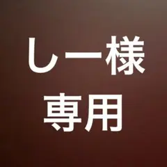 専用ページ