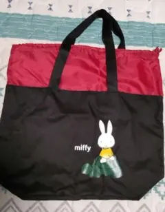 Item thumbnail for item 36de3289-e2a6-442c-a6bb-b7a409415963