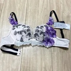 ワコール サルート ブラ C65