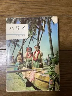 しろみそ様 リクエスト 2点 まとめ商品