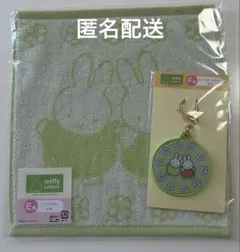 タイトーくじ　ミッフィー　E賞 F賞 2種セット グリーン　緑