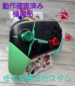 66 switch pro カスタム　純正品