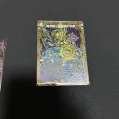 真気楼と誠偽感の決断 パーフェクトペテンシー 銀 2枚 - メルカリ