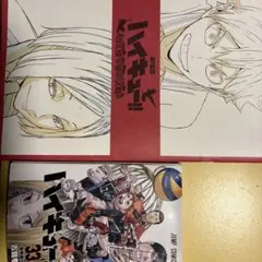 ハイキュー!! 33.5 劇場版特別版特典2点セット