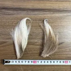 Item thumbnail for item c7bb83b0-e701-4bc5-89d5-80ebfec96952