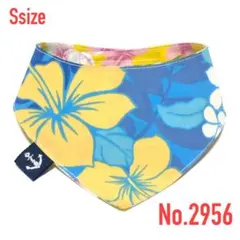 Item thumbnail for item 2e8f5c38-6dbf-489b-a84e-1578b864dd73