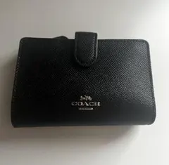 Item thumbnail for item 5ec31b66-c80f-47dc-b7bc-7c1ff5266916