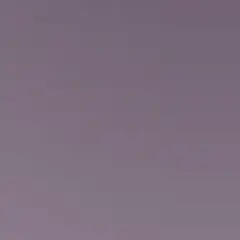 おにぎりさん専用