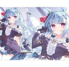 ShadowverseEVOLVE RAGE会場限定 フィルレイン プレイマット - メルカリ