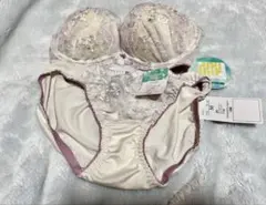 刺繍付きブラジャーショーツセット