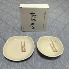 新品.未使用】片岡鶴太郎デザイン❗️美濃焼.《たけのこ柄.皿2枚セット