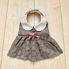 【Leapepe】　襟付きレーススタイ