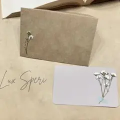 メッセージカード　ミニ封筒付　かすみ草　押し花装飾　※送料無料