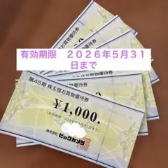 【6,000円分】ビックカメラ 株式優待券