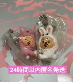 SKZOO つまんでつなげてますこっと vol.2 ハンクォッカ　パピーム