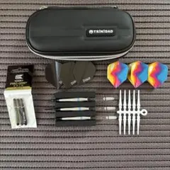 限定】フェニックスダーツ 20th anniversary darts - メルカリ