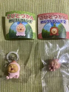 こびとづかん　めじるしフレンズ　カクレモモジリ