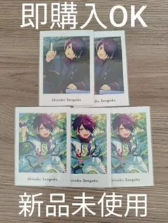 即購入OK あんスタ【仙石忍】vol.5 private Action