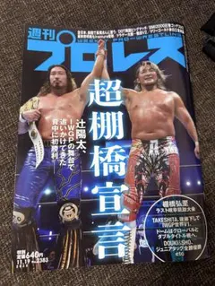 週刊プロレス 2023年11月19日号