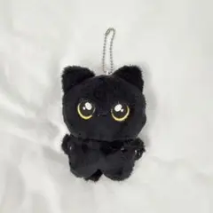 ENHYPEN ジェイ ぬいぐるみ マスター - メルカリ
