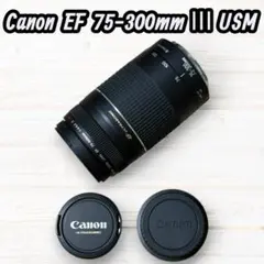 2025年最新】キャノン ウルトラソニック 75-300の人気アイテム