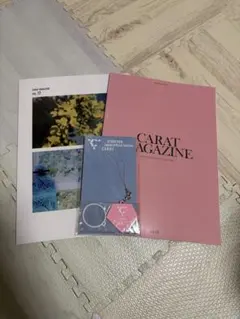 SEVENTEEN CARAT MAGAZINE vol.12,14 会報