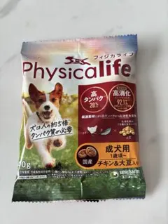 Item thumbnail for item 8394f871-82ef-4490-9553-6f9577c59ea3