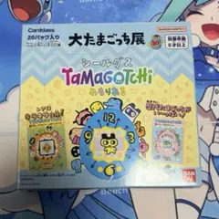 たまごっち　めもりある　大たまごっち展　未開封　シールダス　ボックス　BOX