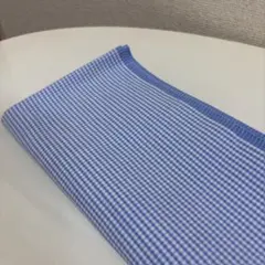 【きみちゃん様専用】青と白のチェック柄　布生地