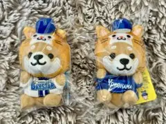 嵐 なまあらし LIVE STORM 番組台本 美品 レア 非売品 2003年 - メルカリ