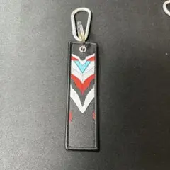 【匿名配送】ウルトラマン　ランダムフライトタグ　ヴィクトリー