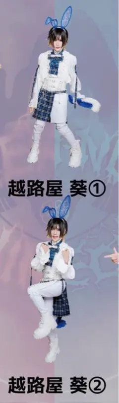 電脳ヒメカ 越路屋葵 アクスタ2種