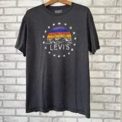 LEVI'S公式 リーバイスマルチカラーTシャツ チャコールグレー L 古着