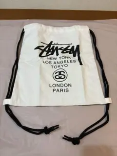 【当日発送】ステューシー キャンバス地 リュックサック シンプルデザイン 白